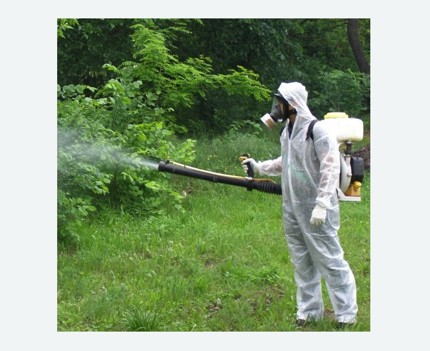 обработка территории от клещей в Краснозаводске