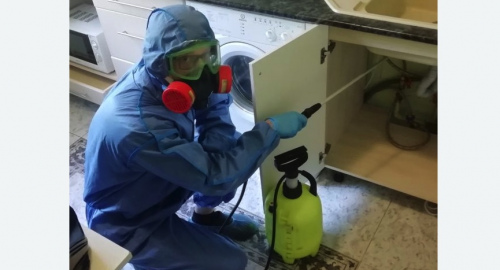 Уничтожение муравьев в квартире. Краснозаводск