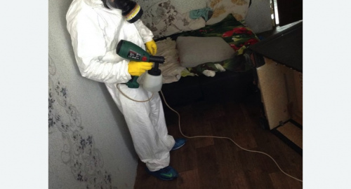 Обработка квартир от насекомых в Краснозаводске