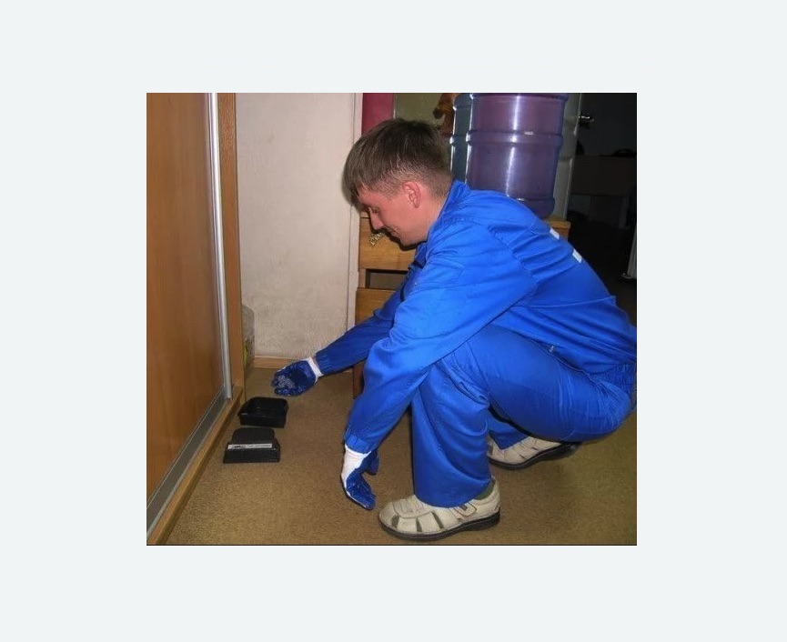 Дератизация крыс в Краснозаводске