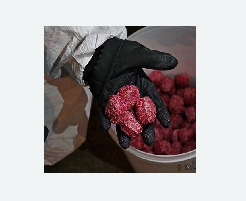 Обработка от крыс в Краснозаводске