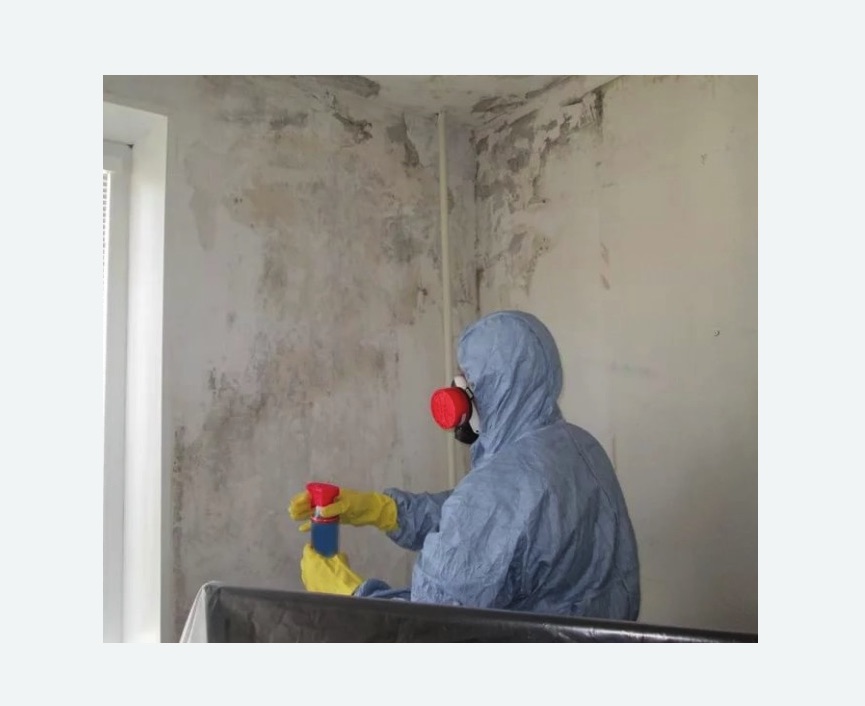 Удаление плесени в квартире в Краснозаводске
