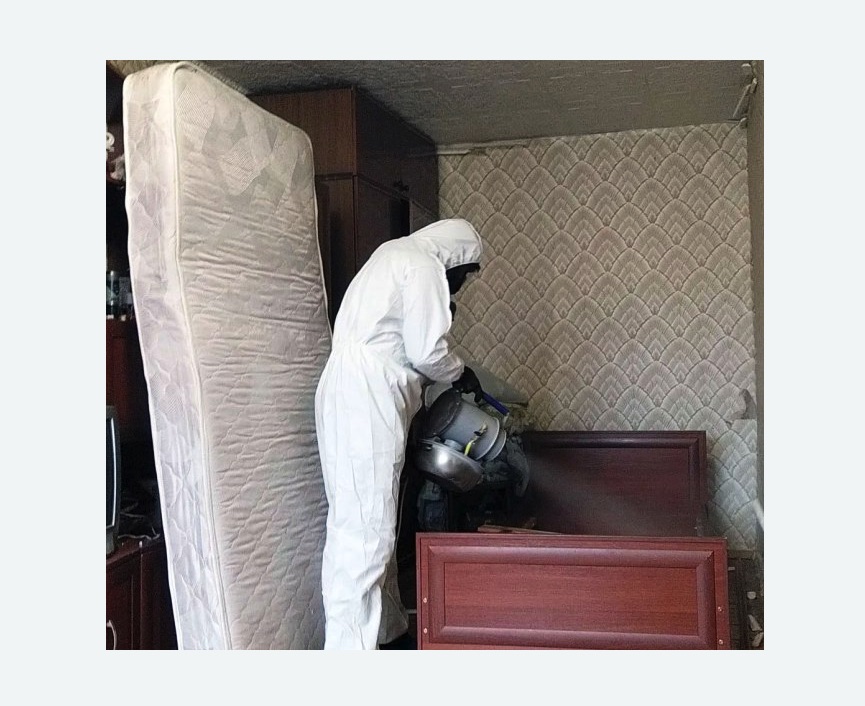 дезинфекция от клопов в Краснозаводске