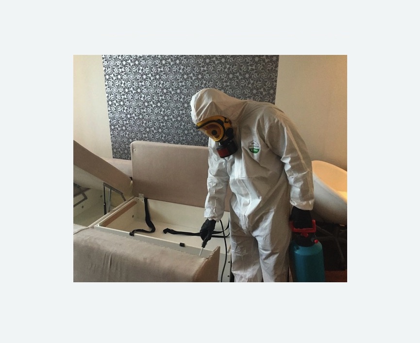 уничтожение клопов в квартире в Краснозаводске