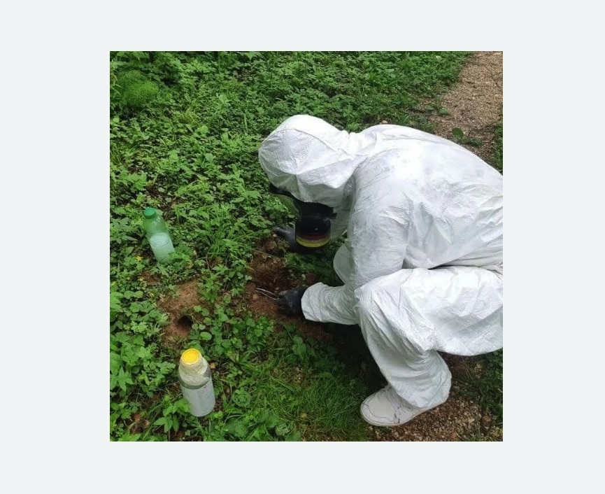 уничтожение кротов на участке в Краснозаводске