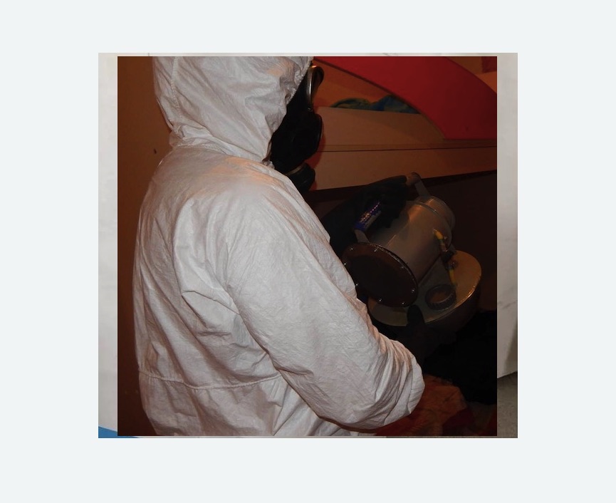 Дезинфекция от муравьев в Краснозаводске