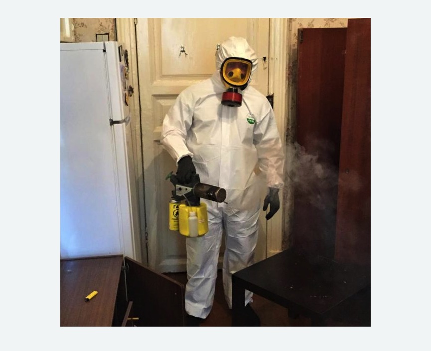 уничтожение муравьев в квартире в Краснозаводске